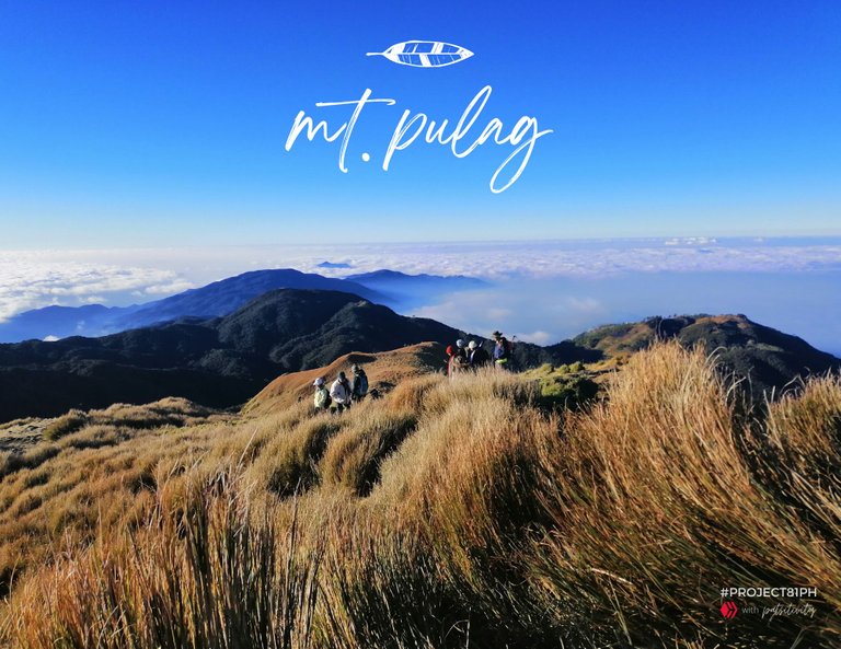 Hive_Pulag_Cover Photos.png