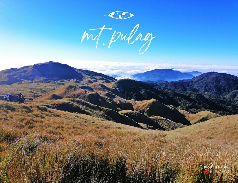 Hive_Pulag_Cover Photos (2).png