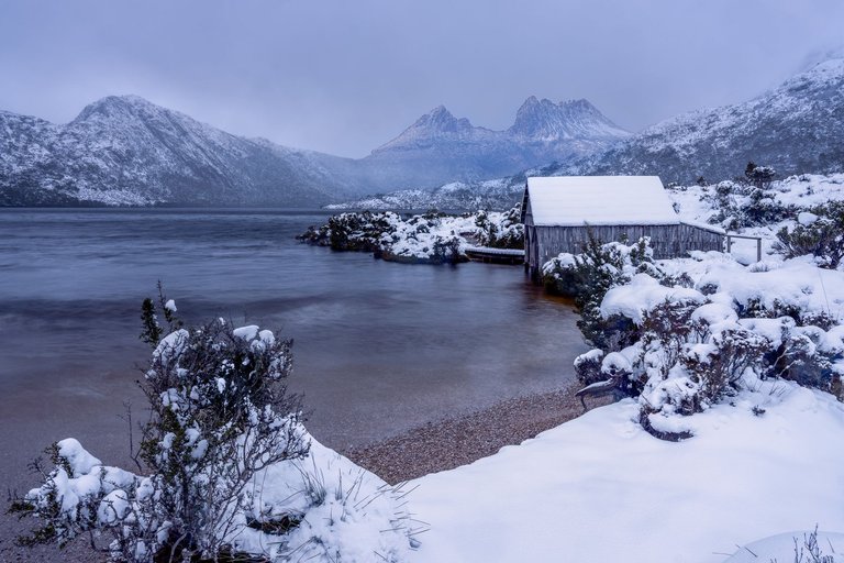 tas-snow-1.jpg