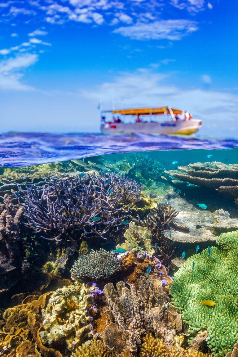 ningaloo.jpg