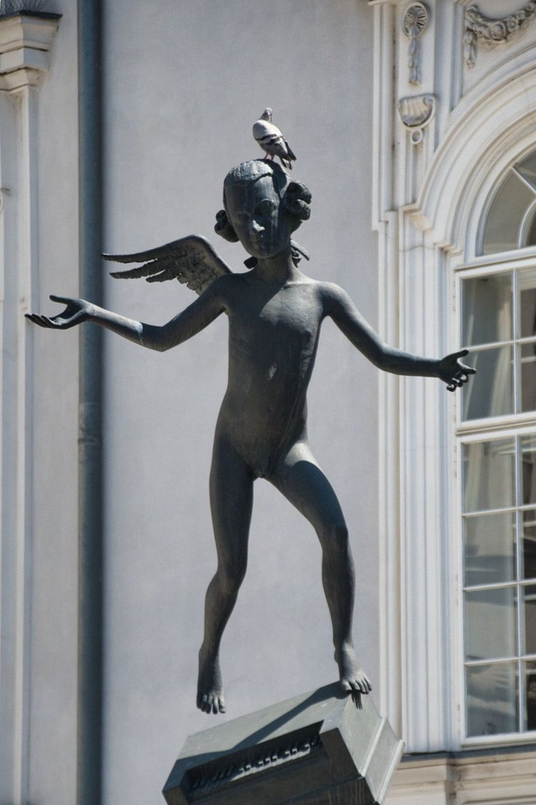 DSC_1564.jpg
