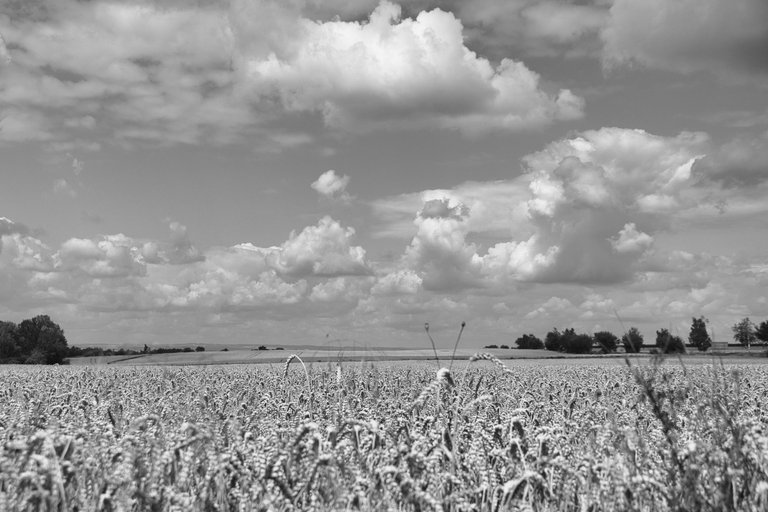 DSC_1888.jpg