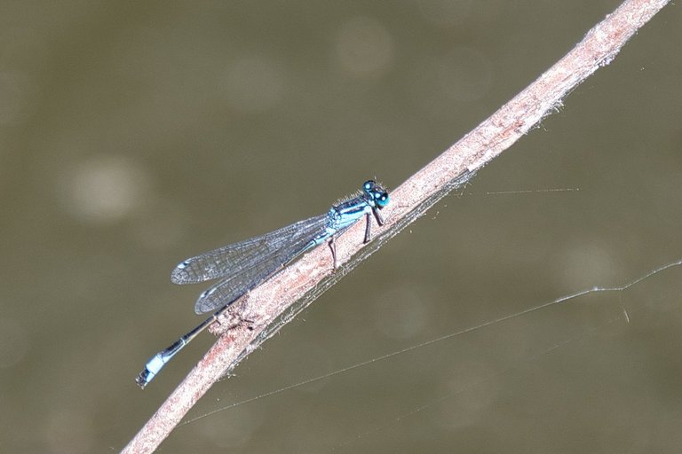 DSC_1699.jpg