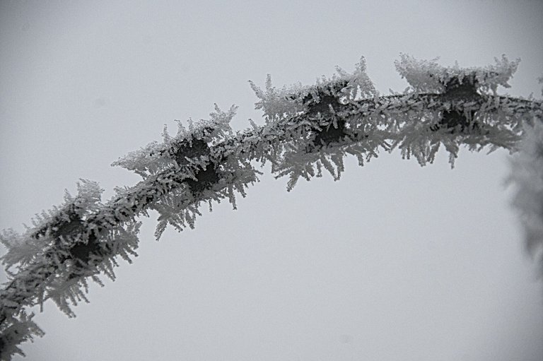 DSC_9175.jpg