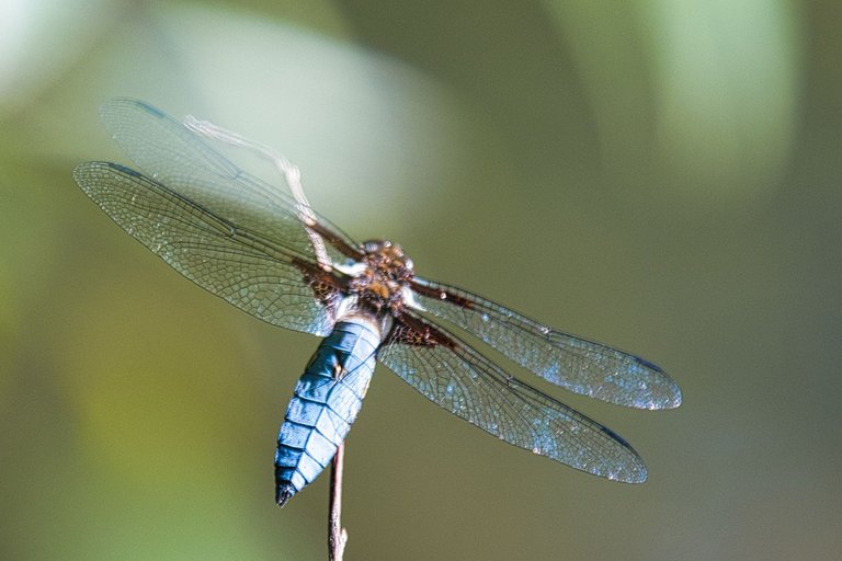 DSC_1728.jpg