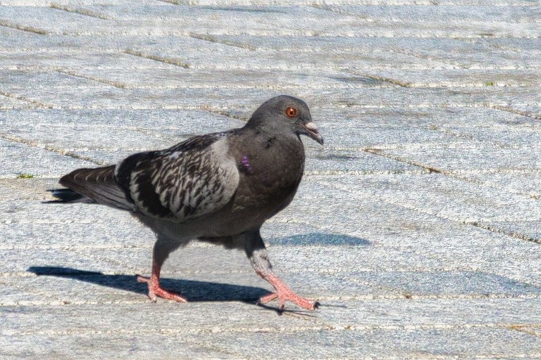 DSC_1674.jpg