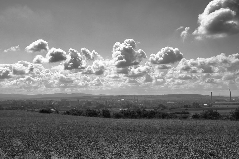 DSC_1788.jpg