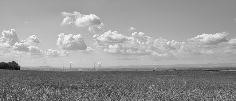 DSC_1778.jpg