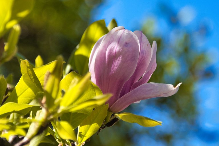 DSC_0338.jpg