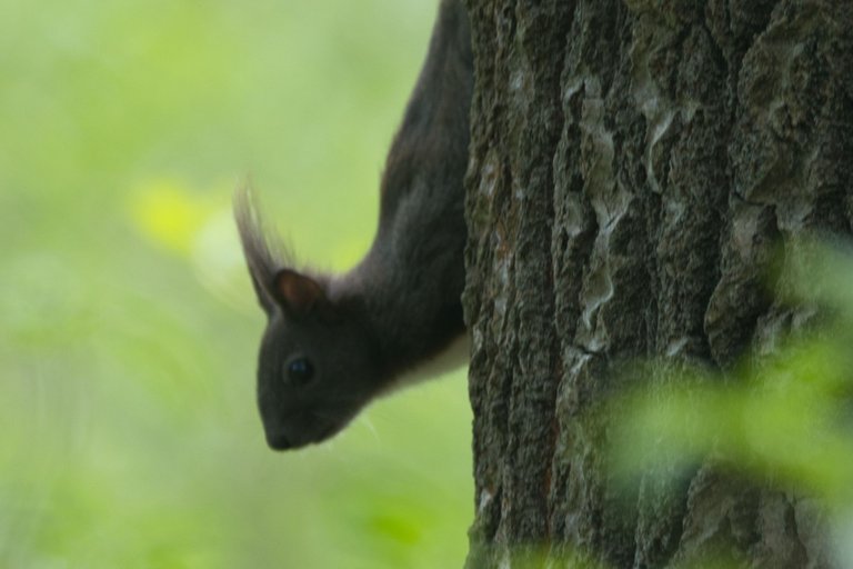 DSC_0292.jpg