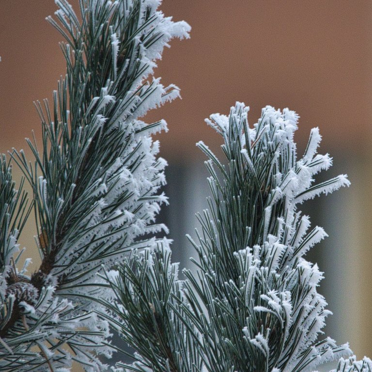 DSC_9094.jpg