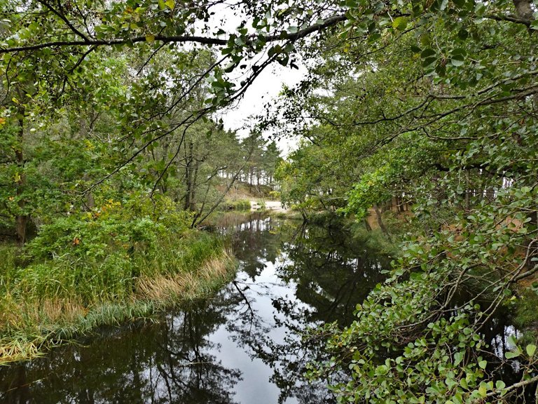 P6.JPG
