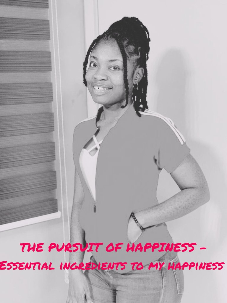 THE PURSUIT OF HAPPINESS - ESSENTIAL INGREDIENTS TO MY HAPPINESS 