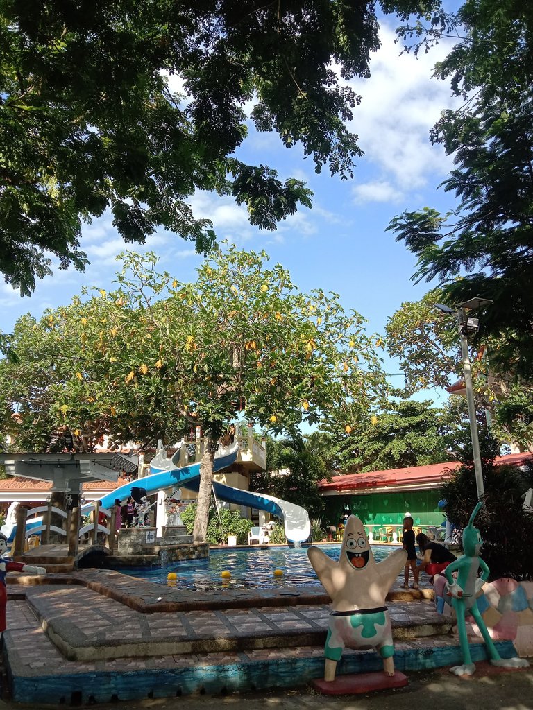 IMG_20250726_154416.jpg