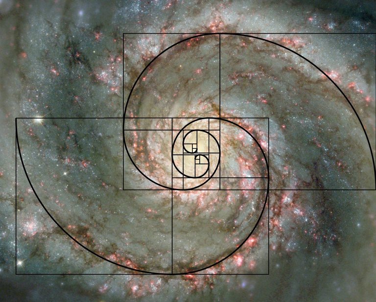 fibonacci-spiral-galaxy.jpg