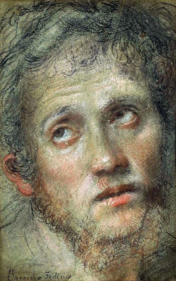 Barocci_Head_of_a_young_man.jpg