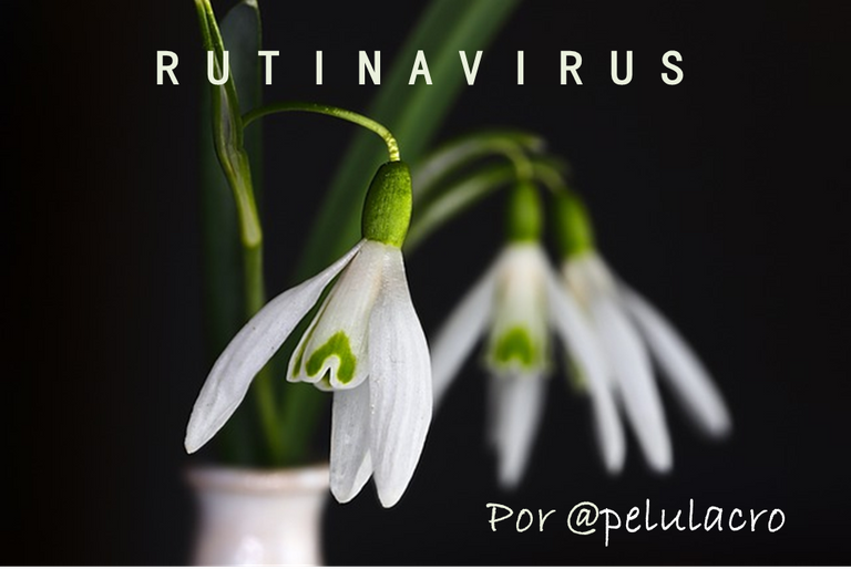 rutinavirus.png