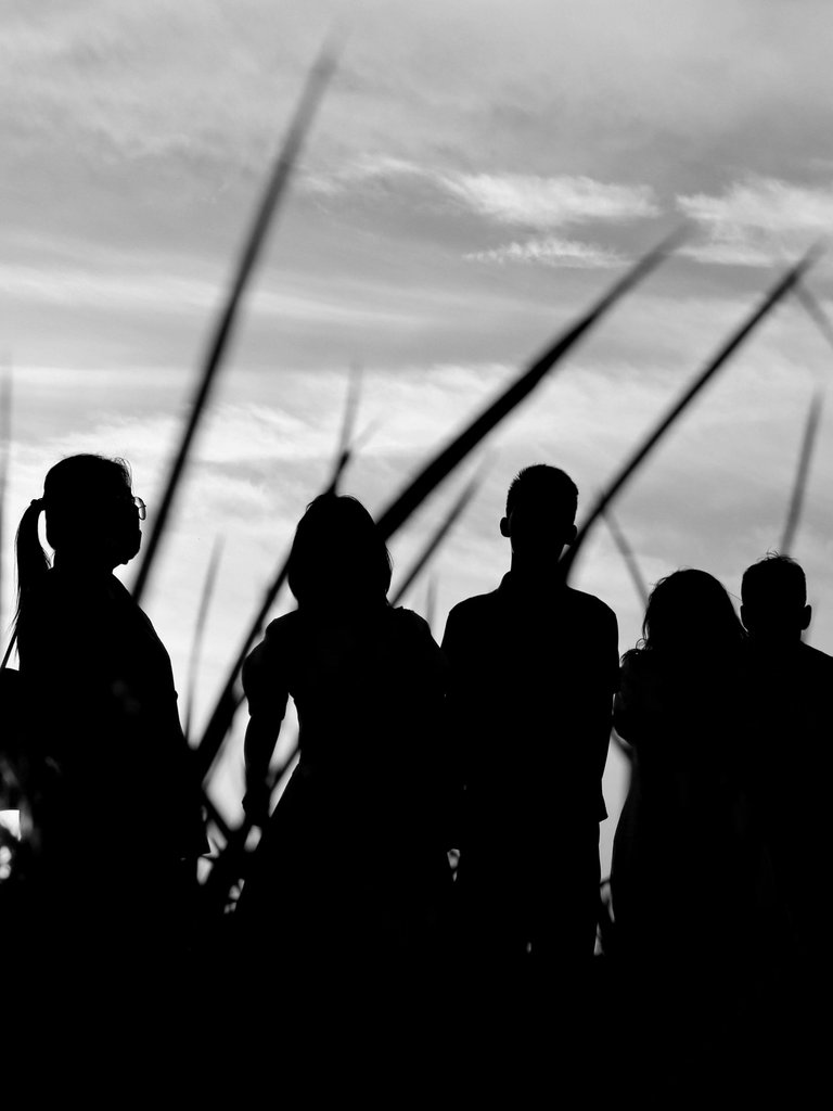 The Five Friends 