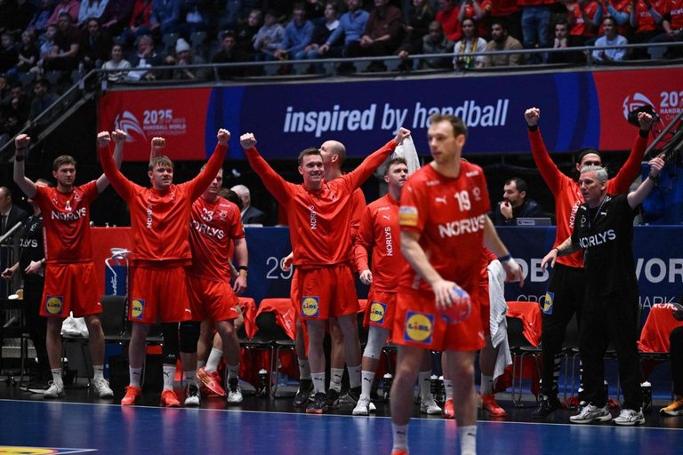 Denmark is the 2nd finalist of Handball World Championship