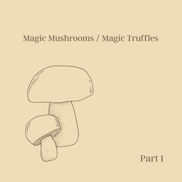 Magic Mushrooms  Magic Truffles.png