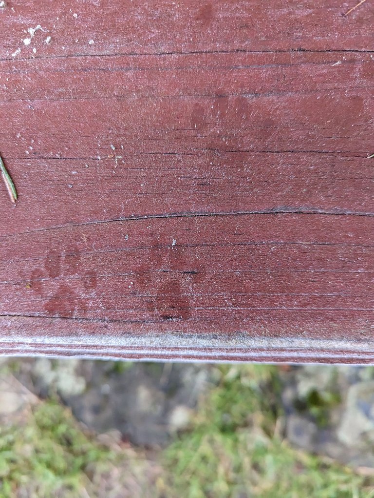 PXL_20221228_075140937.jpg