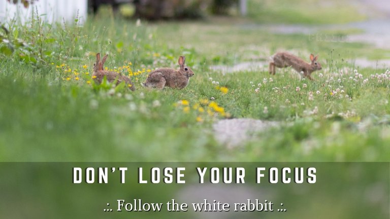 Dont Lose Your Focus.jpg