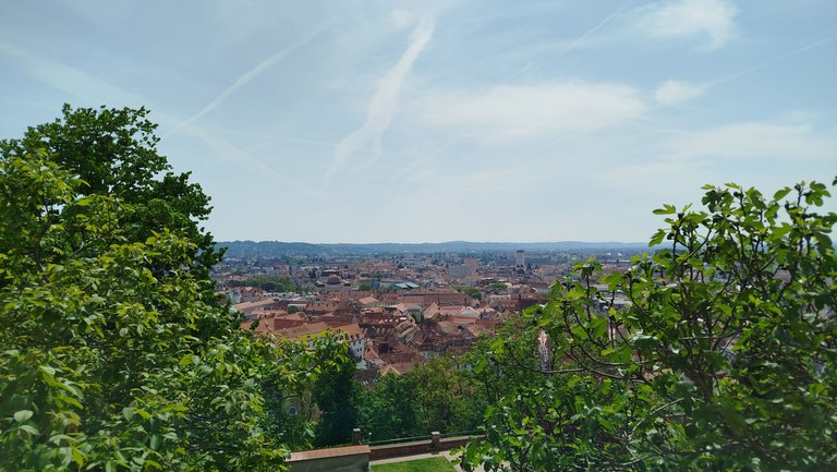 04.jpg