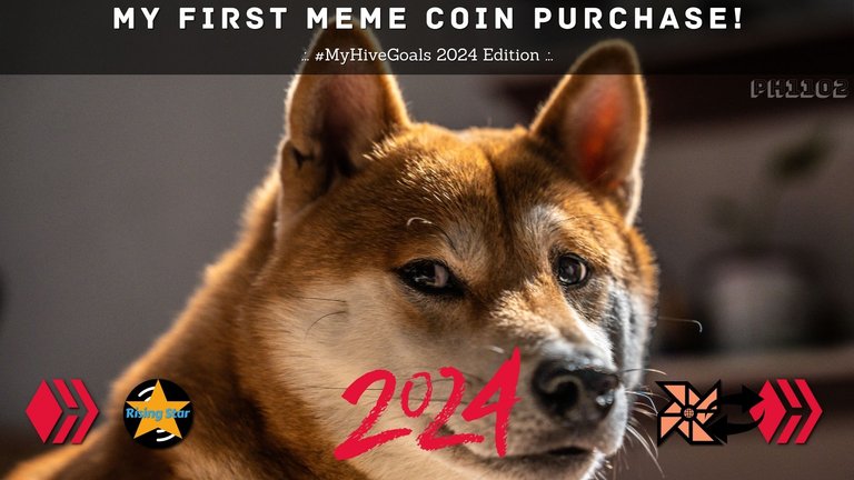 My First Meme Coin Purchase.jpg