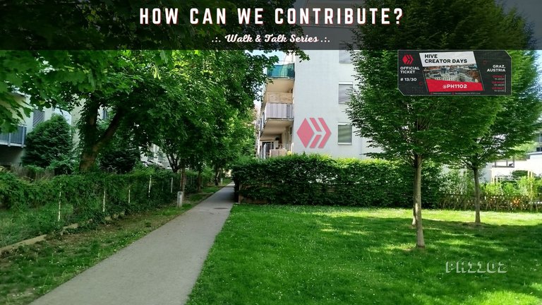 How Can We Contribute.jpg