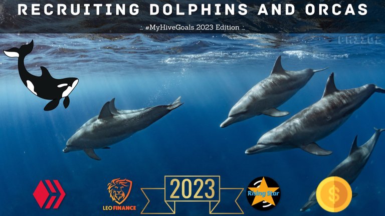 Recruiting Dolphins and Orcas.jpg