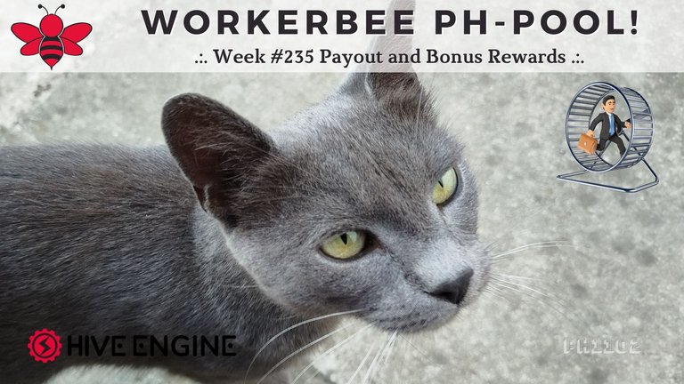 The Goal: More Free Time .:. WorkerBee PH-Pool Week 235
