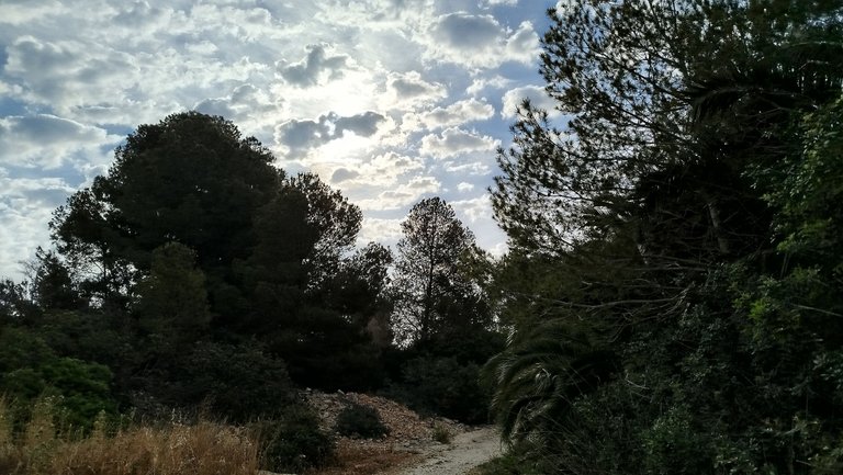 04.jpg
