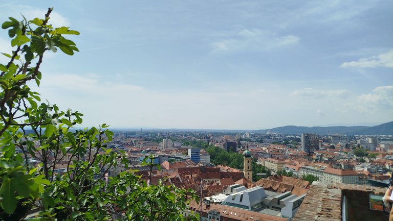 05.jpg
