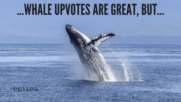 whale upvotes are great but.jpg