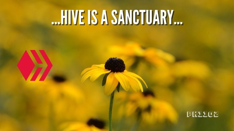 Hive is a Sanctuary.jpg