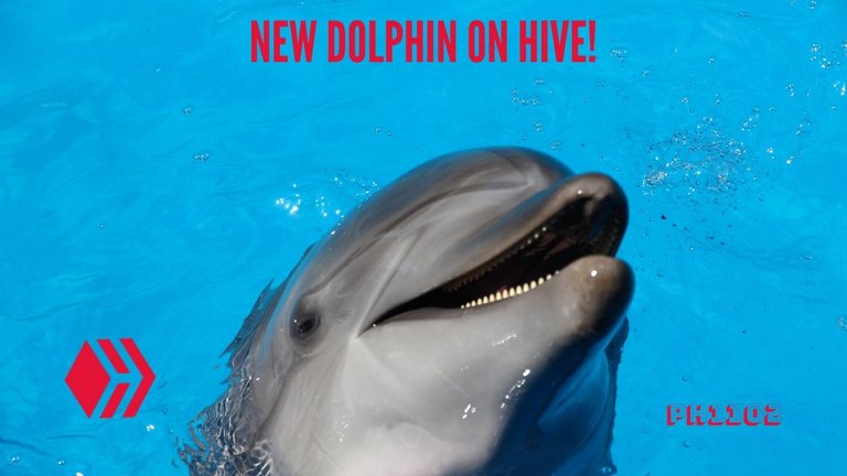 NewDolphinOnHive.jpg