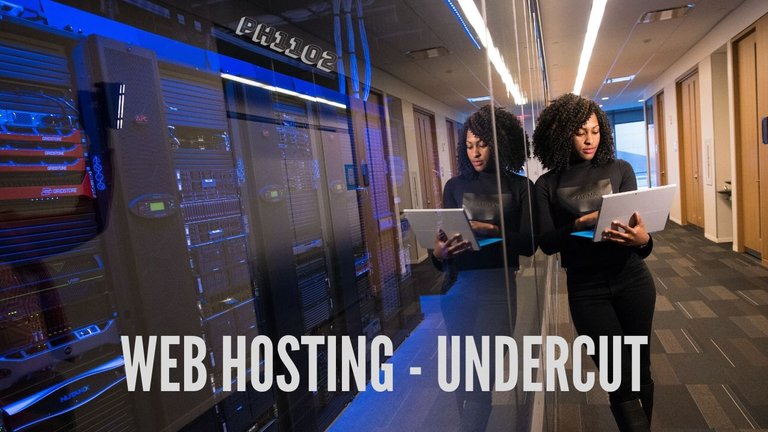 Web Hosting Undercut.jpg