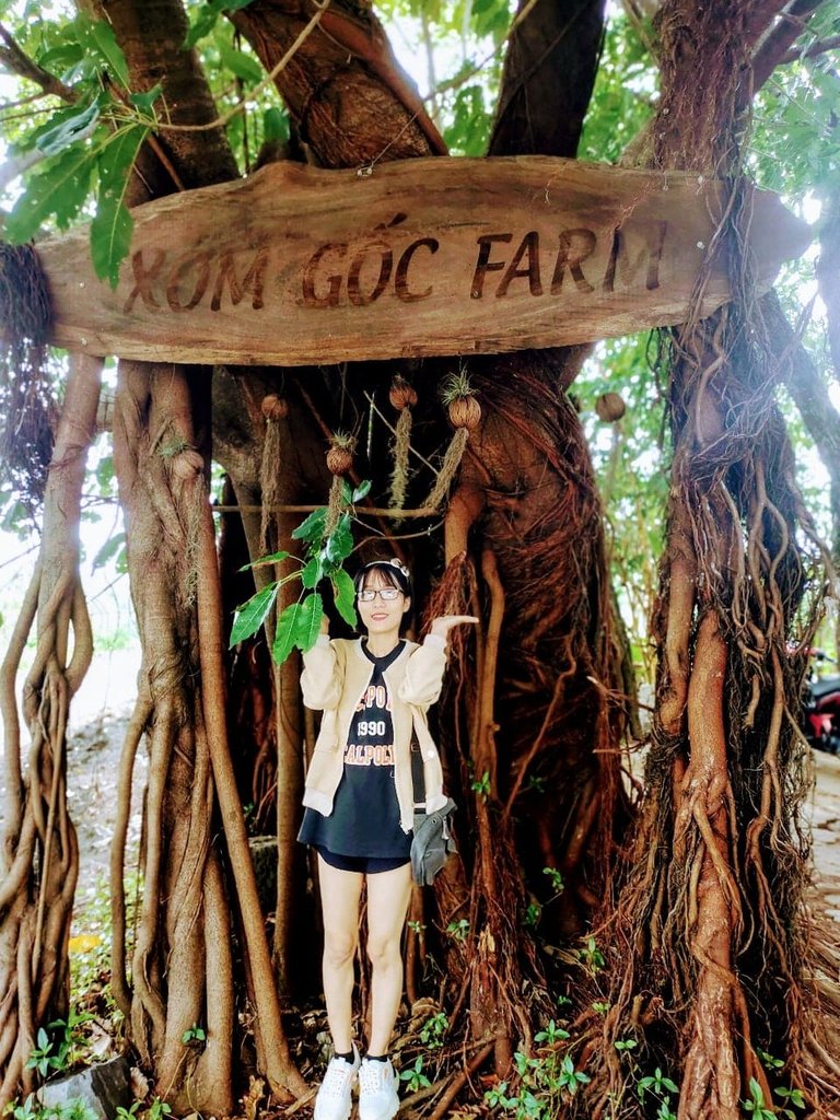 xóm gốc Farm.jpg