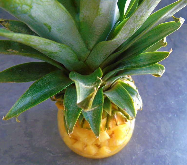 ananas gingembre (4).JPG