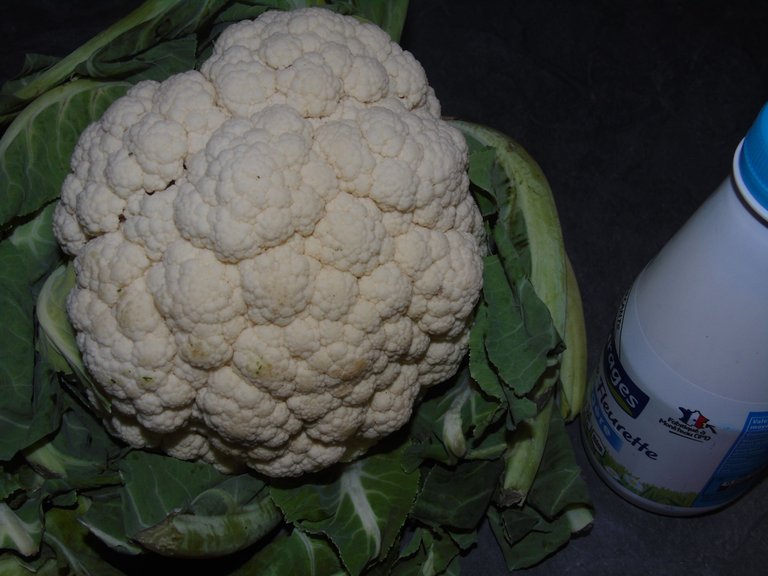 velouté dubarry (2).JPG
