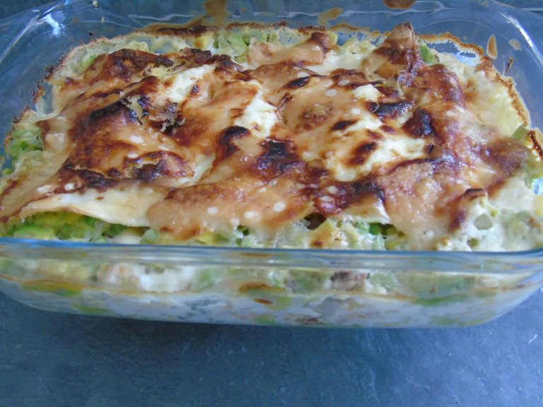 lasagnesaumonavocat (5) - Copie.JPG