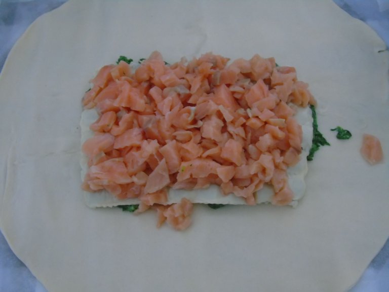 1feuilletéraviolessaumon (10).JPG