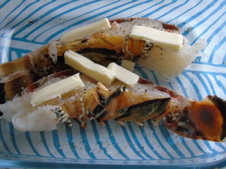 langouste (3) - Copie.JPG