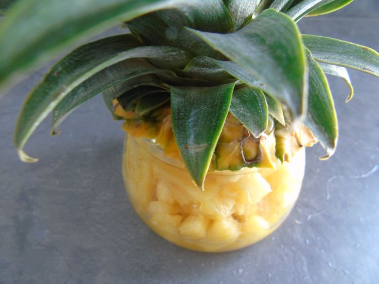 111salade ananas (1).JPG