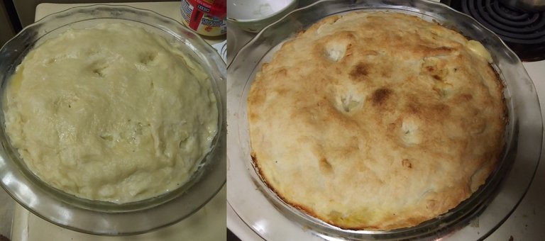 pot pie 2 - dual.jpg