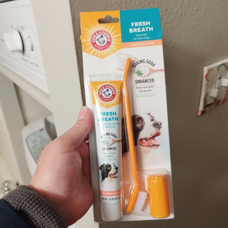 toothbrush kit.jpg