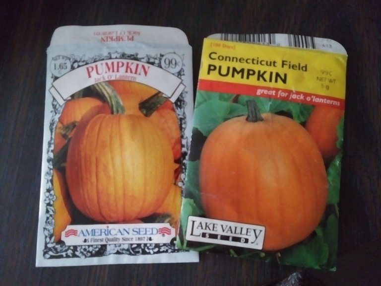 pumpkin packets (2).jpg