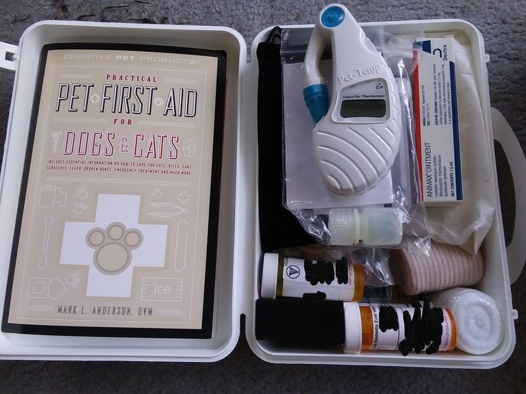 cats first aid kit edit.jpg