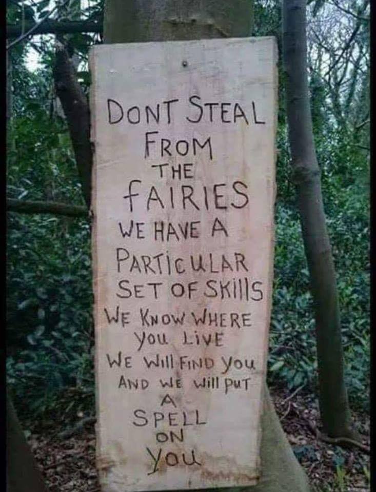 don't steal from faeries.jpg