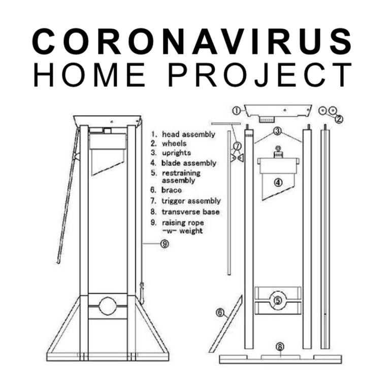 coronavirus craft project.png
